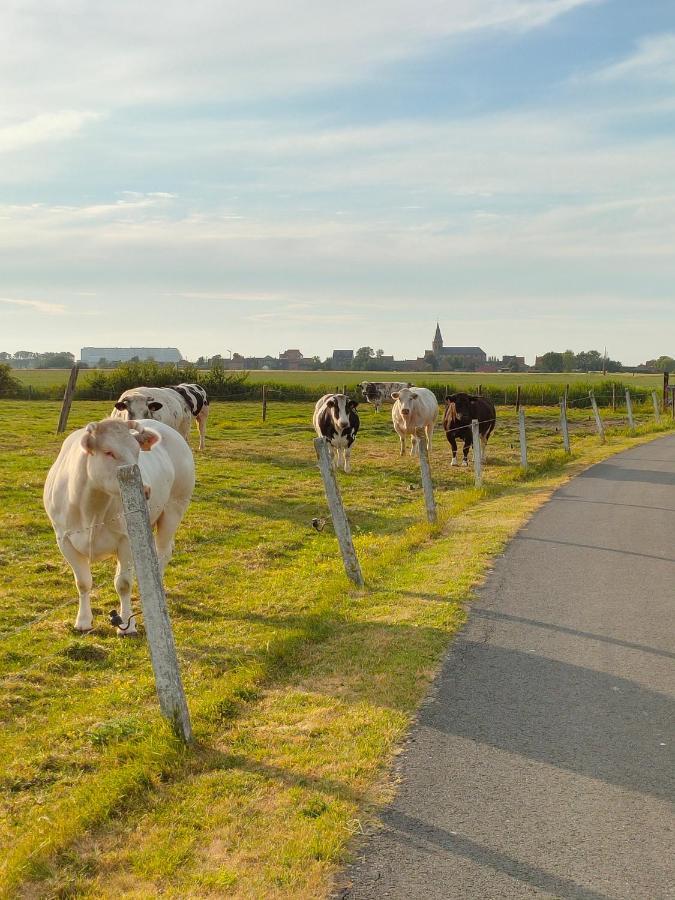 Gastenverblijf Hof Moye Tyt Middelkerke Eksteriør billede